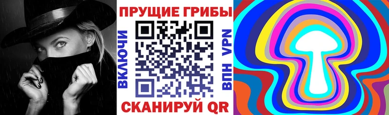 как найти   гидра ТОР  Галлюциногенные грибы GOLDEN TEACHER  Учалы 