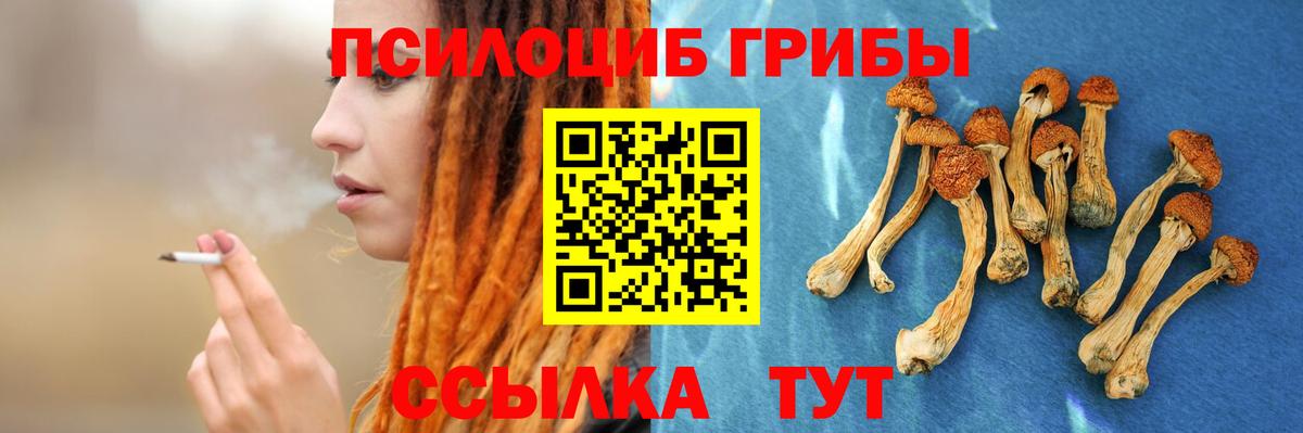 Галлюциногенные грибы Psilocybine cubensis Учалы